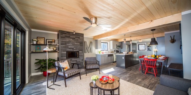 Regular Strip Series - Lava Stone