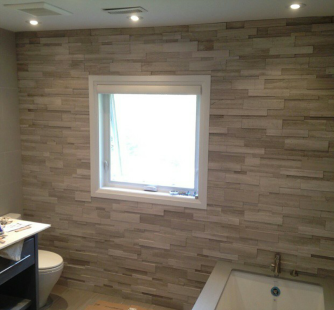 Regular Strip Series - Silver Fox