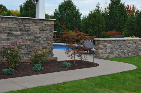 Rocky Ledge Series - Driftwood