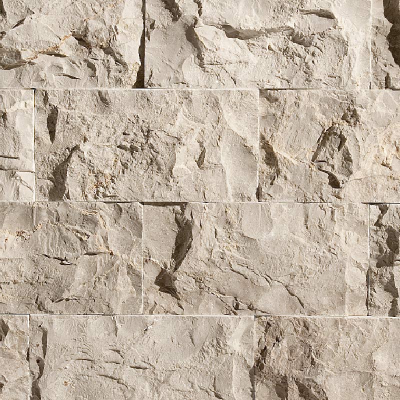 Erth Coverings Fossil Splitface