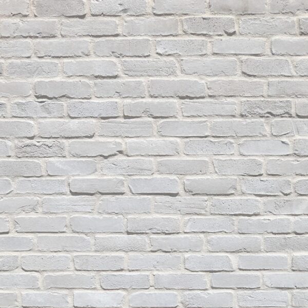 Canyon Stone Canada Stone Selex Thin Brick Veneer PlymBrick White Onyx